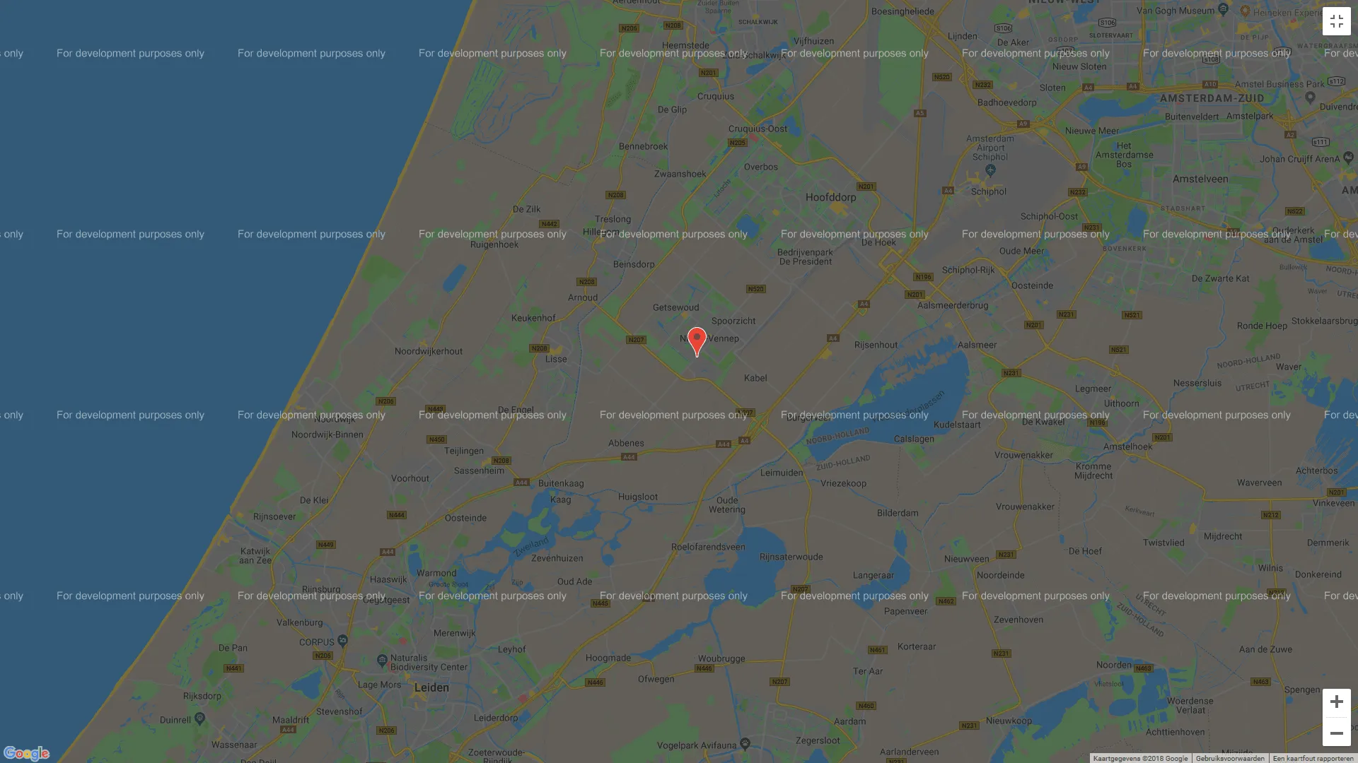 google maps for development purposes only