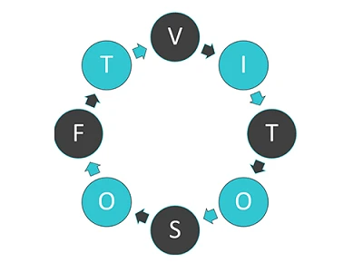 Vitosoft