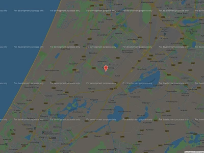 Google Maps: for development purposes only*